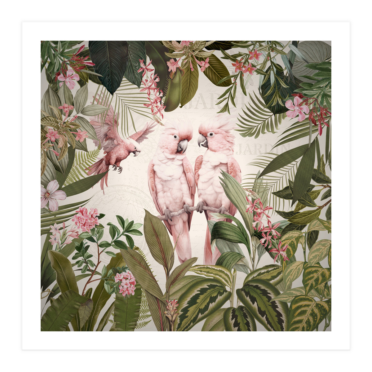 Pink Parrots Exotic Rainforest (Print Only)