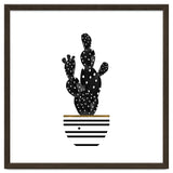 Black Cactus thumbnail
