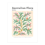 Australian Flora: Wax Flower (Print Only) thumbnail