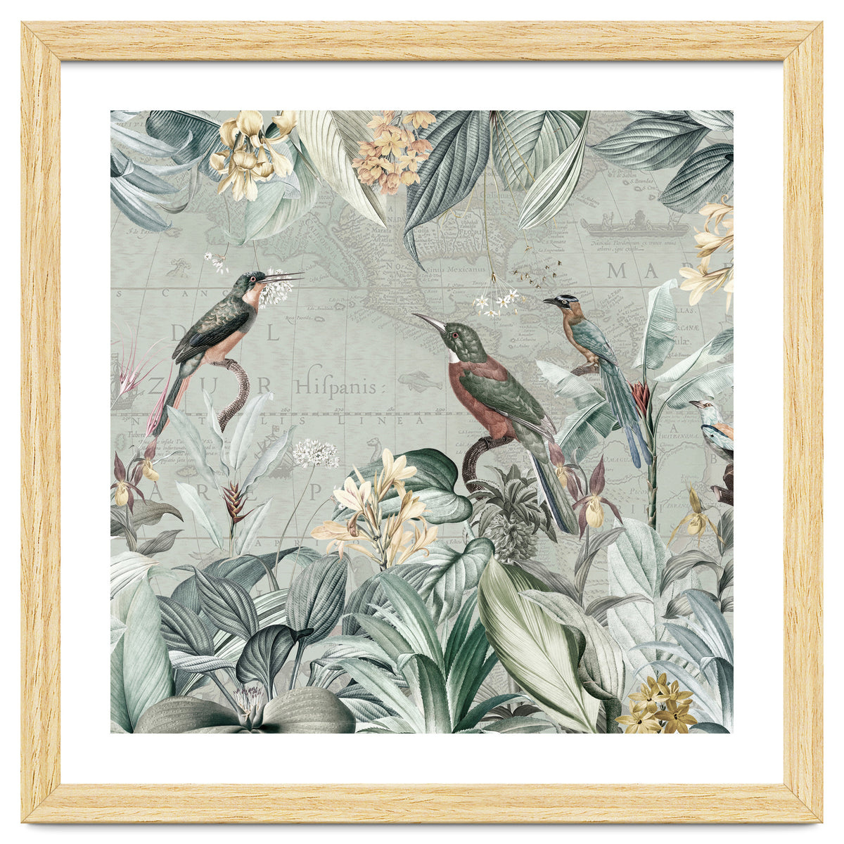 Vintage Exotic Birds Paradise Jungle
