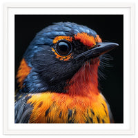 Vibrant Bird With Orange And Blue Plumage