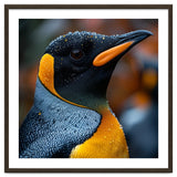 King Penguin With Water Droplets In Rain thumbnail