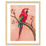 Red Macaw Parrot Bird Forest thumbnail
