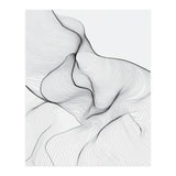 Abstract Black And White Flowing Lines Organic Form (Print Only) thumbnail