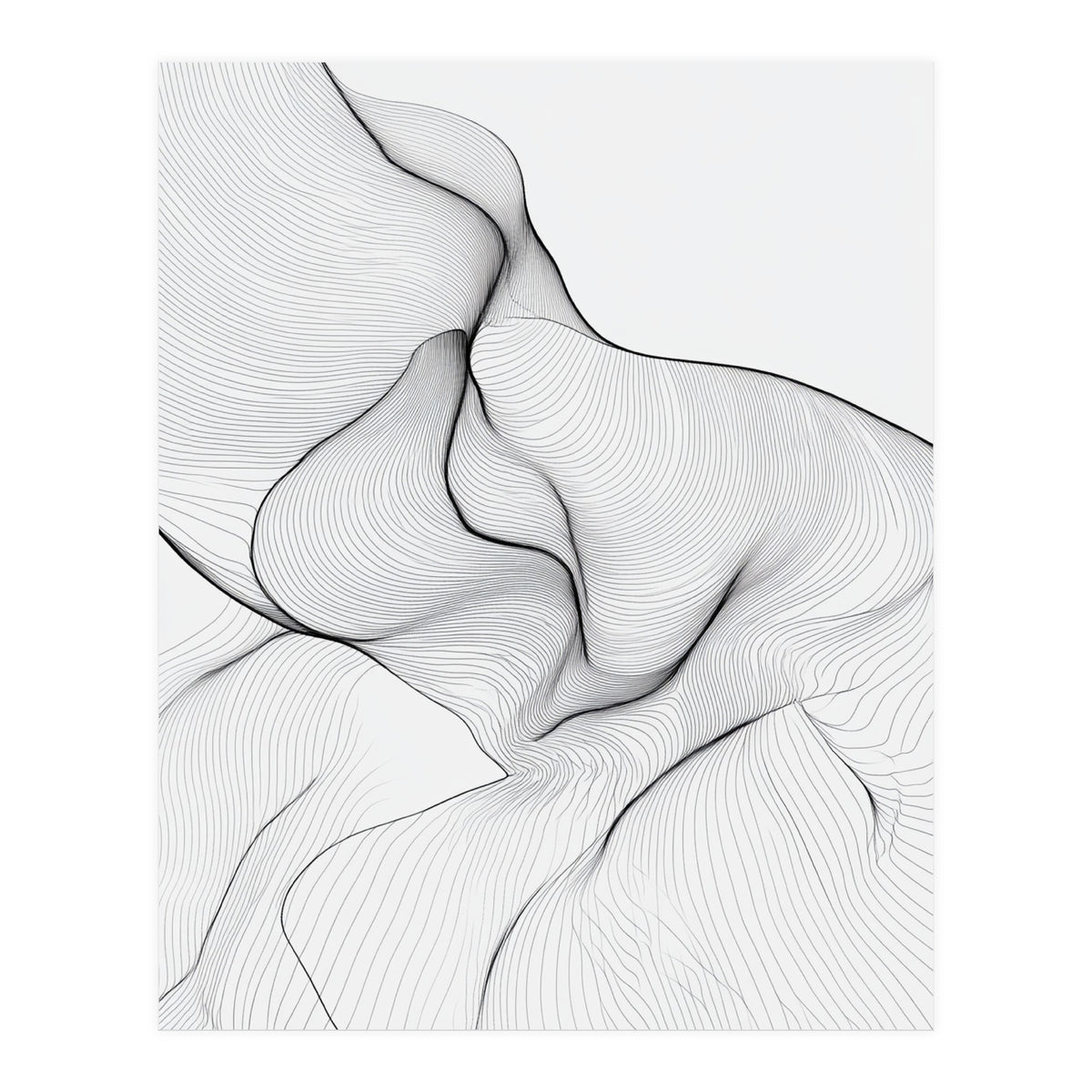 Abstract Black And White Flowing Lines Organic Form (Print Only)