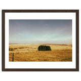 Dartmoor 2018 thumbnail
