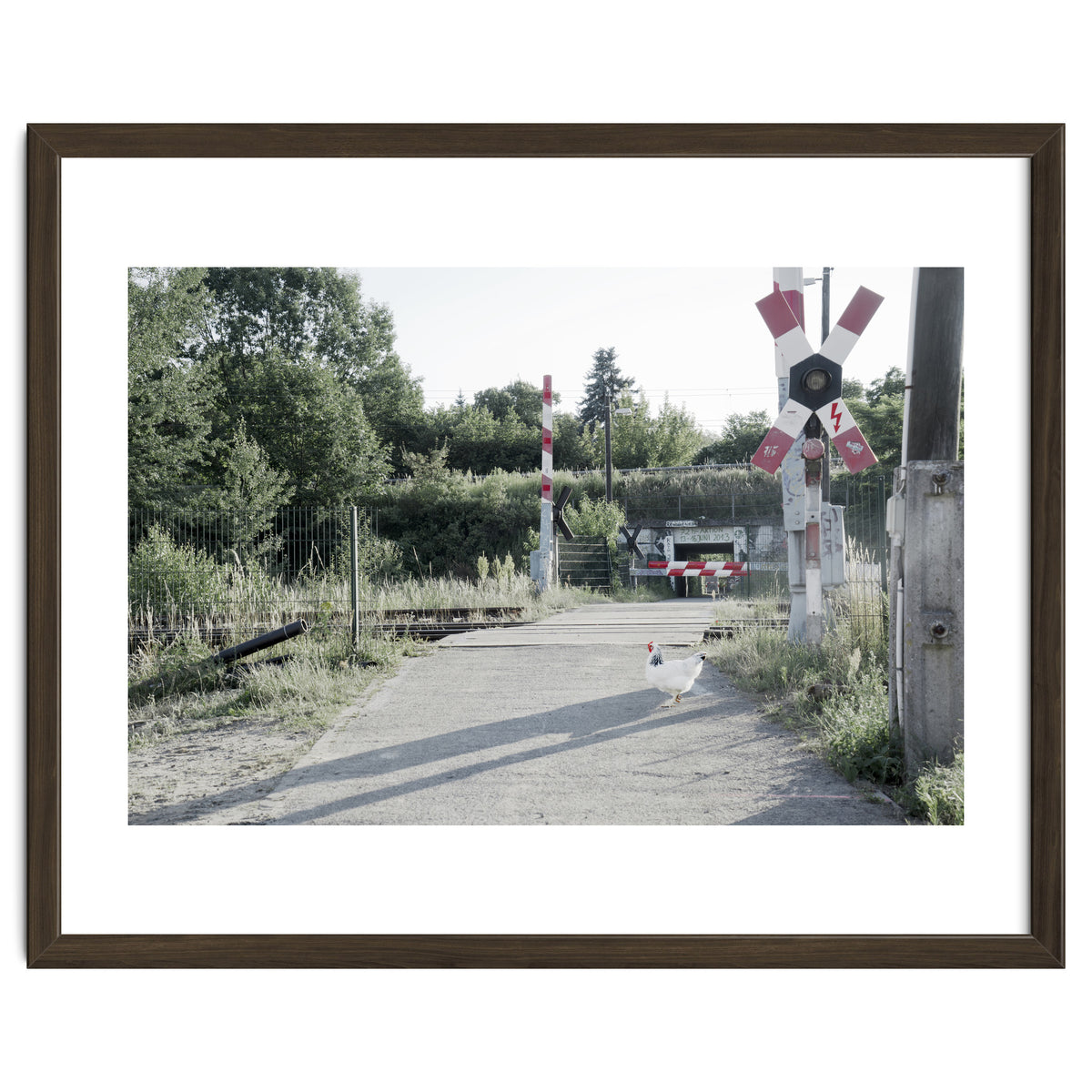 A chicken crossing a railroad