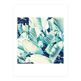 Banana Leaf Crush (Print Only) thumbnail