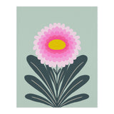 Chrysanthemum - turquoise and pink (Print Only) thumbnail