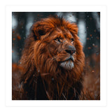 Majestic Lion King Of The Jungle Close Up Portrait (Print Only) thumbnail