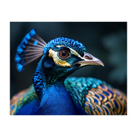 Peacock Head Close Up Majestic Blue Bird (Print Only)