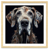 Old Dog 04 thumbnail