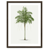 Oswald de Kerchove de Denterghem – Vintage Palm Tree Illustration (1878) thumbnail