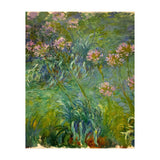 Claude Monet (1840-1926). Agapanthus. (Print Only) thumbnail