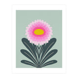Chrysanthemum - turquoise and pink (Print Only) thumbnail