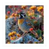 Bird Perched On A Rock With Flowers (Print Only) thumbnail