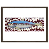 Sardine thumbnail