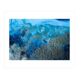 Revitalize (Print Only) thumbnail