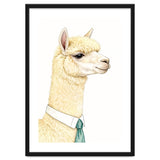 Alpaca thumbnail