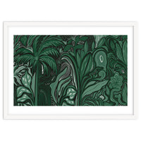 Noctiverdis magnifolia arcana tropical green