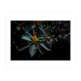 Orange, Green and Dark (Print Only) thumbnail