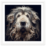 Old Dog 010 thumbnail