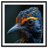 Close Up Of A Colorful Bird Head And Eye thumbnail