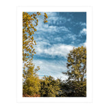 Autumn Evening (Print Only) thumbnail