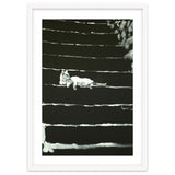Cat On Stairs thumbnail