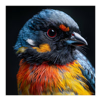 Close Up Of A Colorful Bird In The Wild (Print Only)