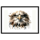 Fierce Bald Eagle Portrait thumbnail
