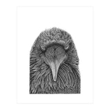 Muninn (Print Only) thumbnail