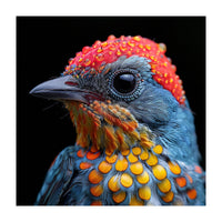Close Up Of Colorful Bird With Water Droplets (Print Only)