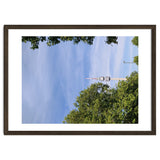 Tower in Harmony thumbnail