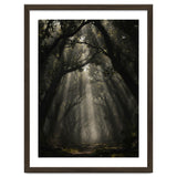 Enchanted Canopy: Mystical Forest Path thumbnail