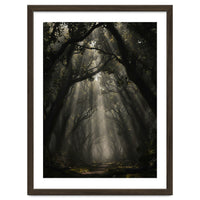 Enchanted Canopy: Mystical Forest Path