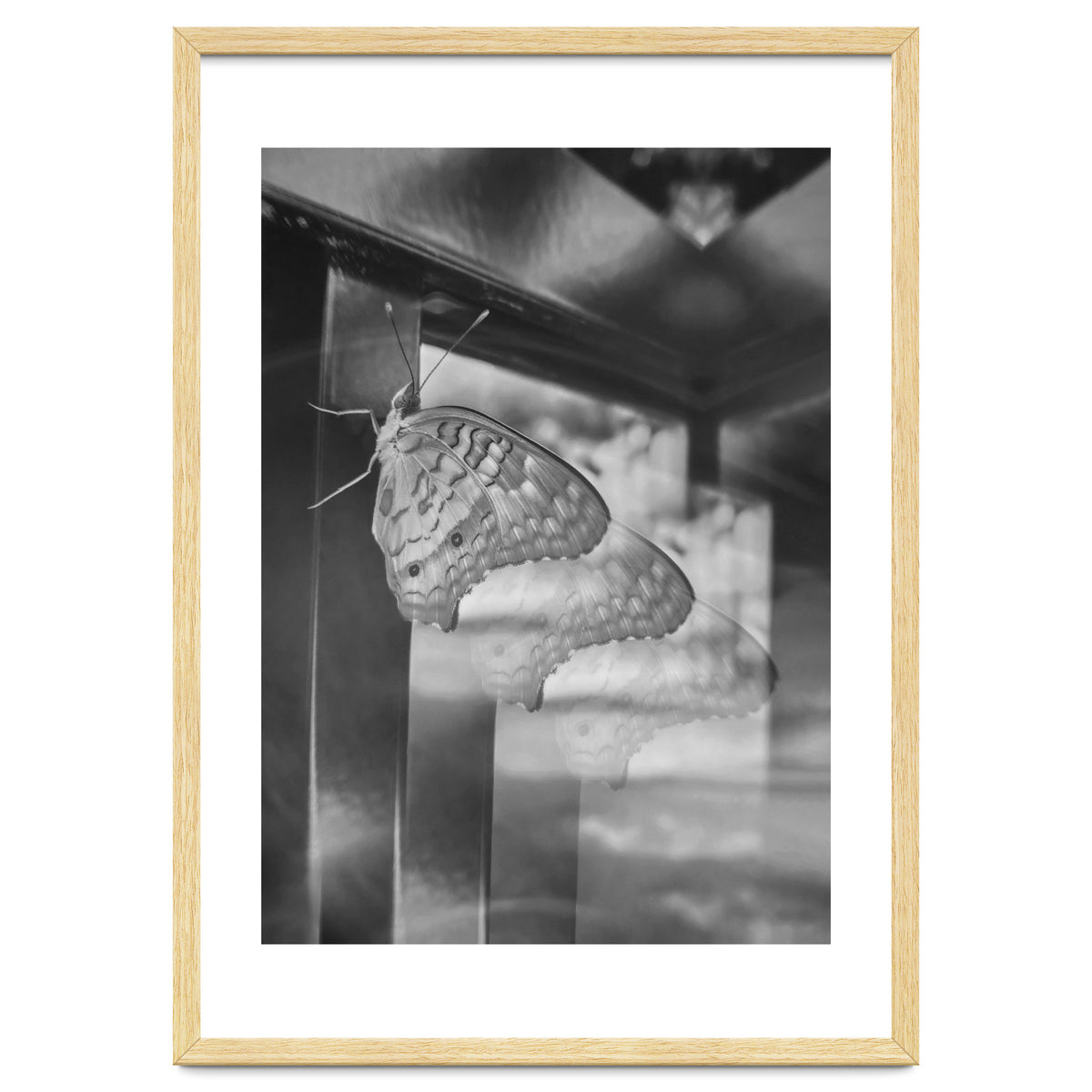 Evolving | Black & White