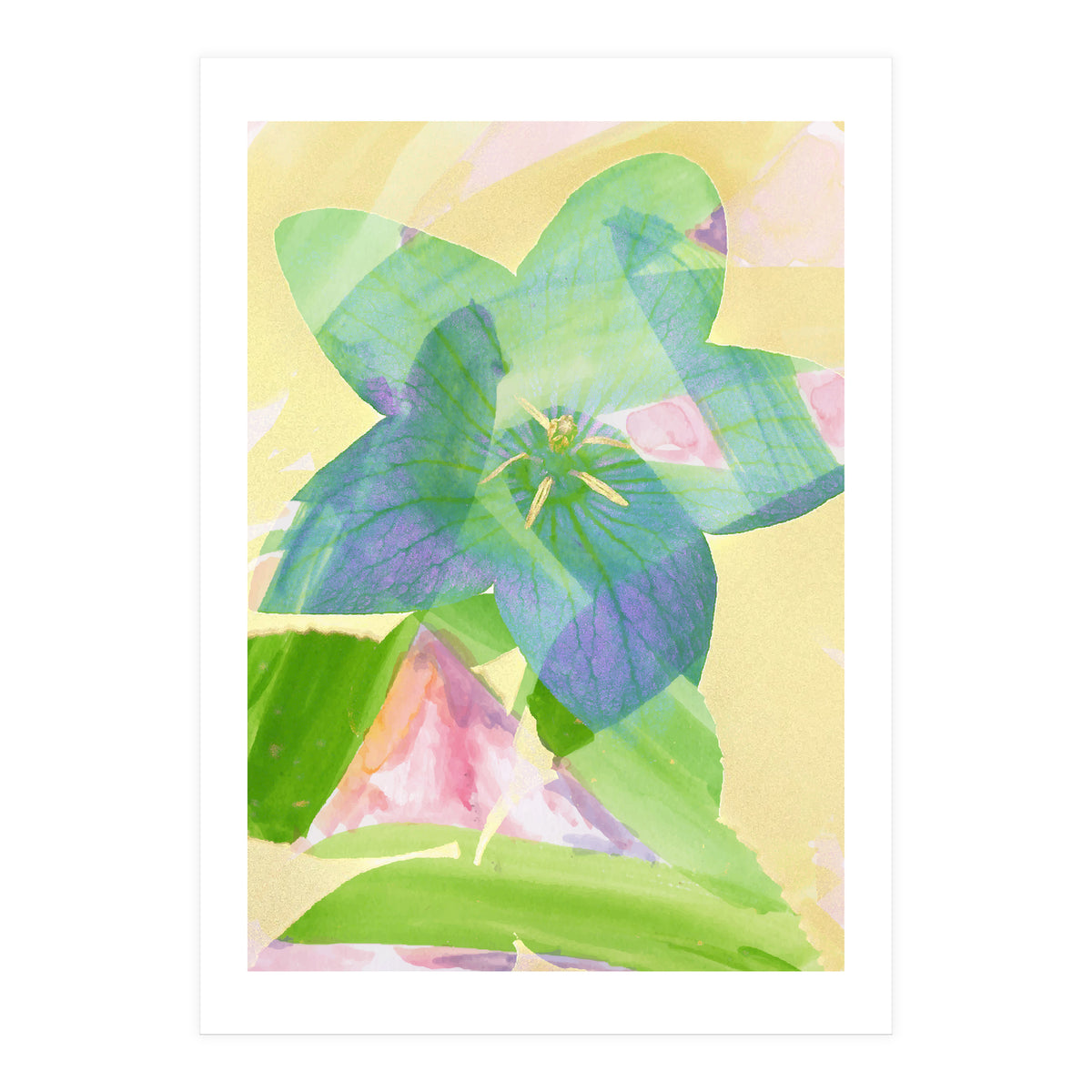 A Peaceful World (Print Only)