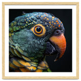 Close Up Of A Colorful Parrot's Face thumbnail