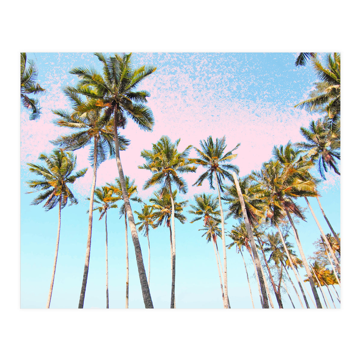 Coconut Palms #society6 #decor #buyart (Print Only)