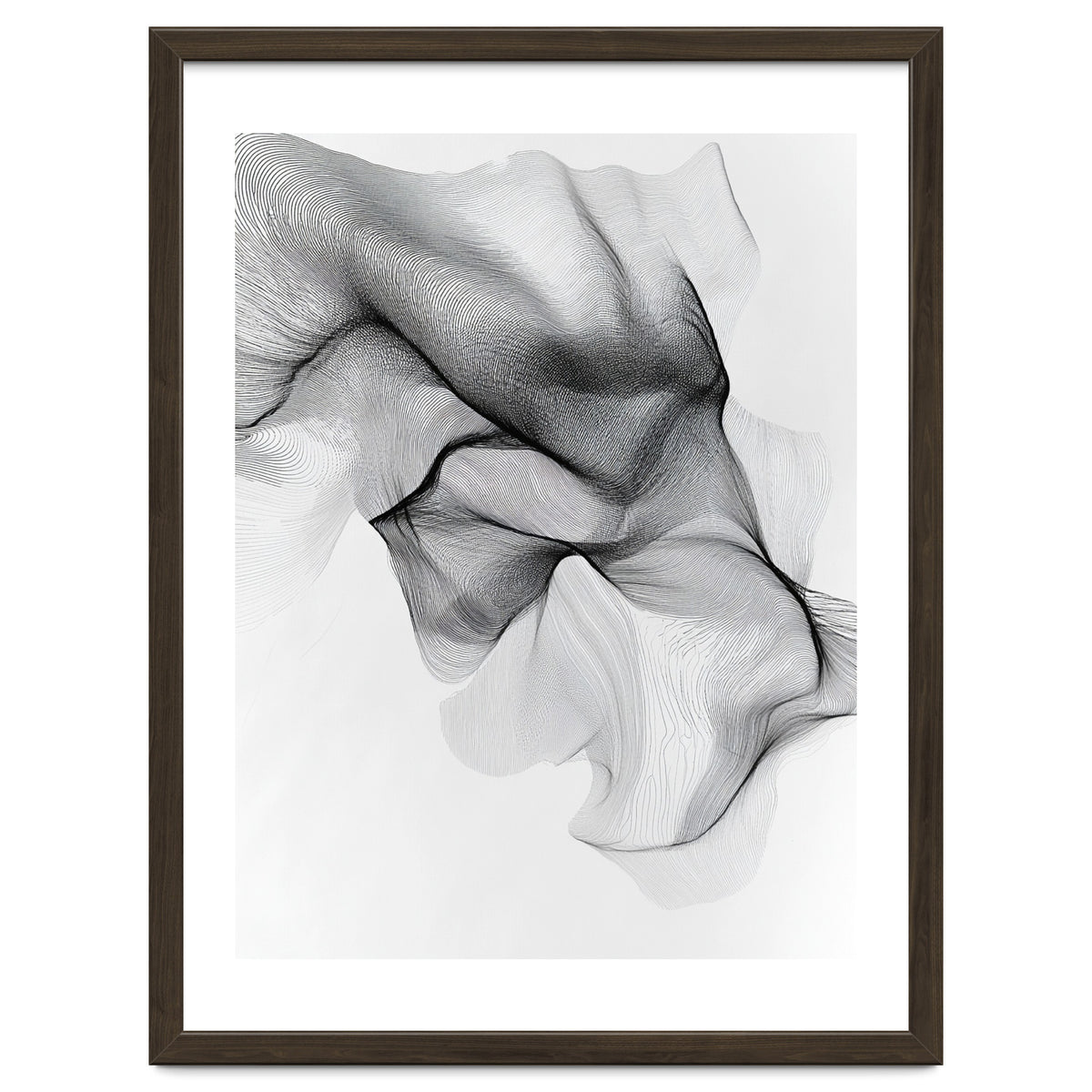Abstract Black And White Flowing Lines Forming Organic Shapes And Forms