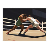 Wrestlers #9 (Print Only) thumbnail
