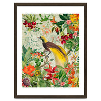 Bird of paradise vintage jungle