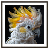 Close Up Of A Cockatoo With Yellow Crest thumbnail