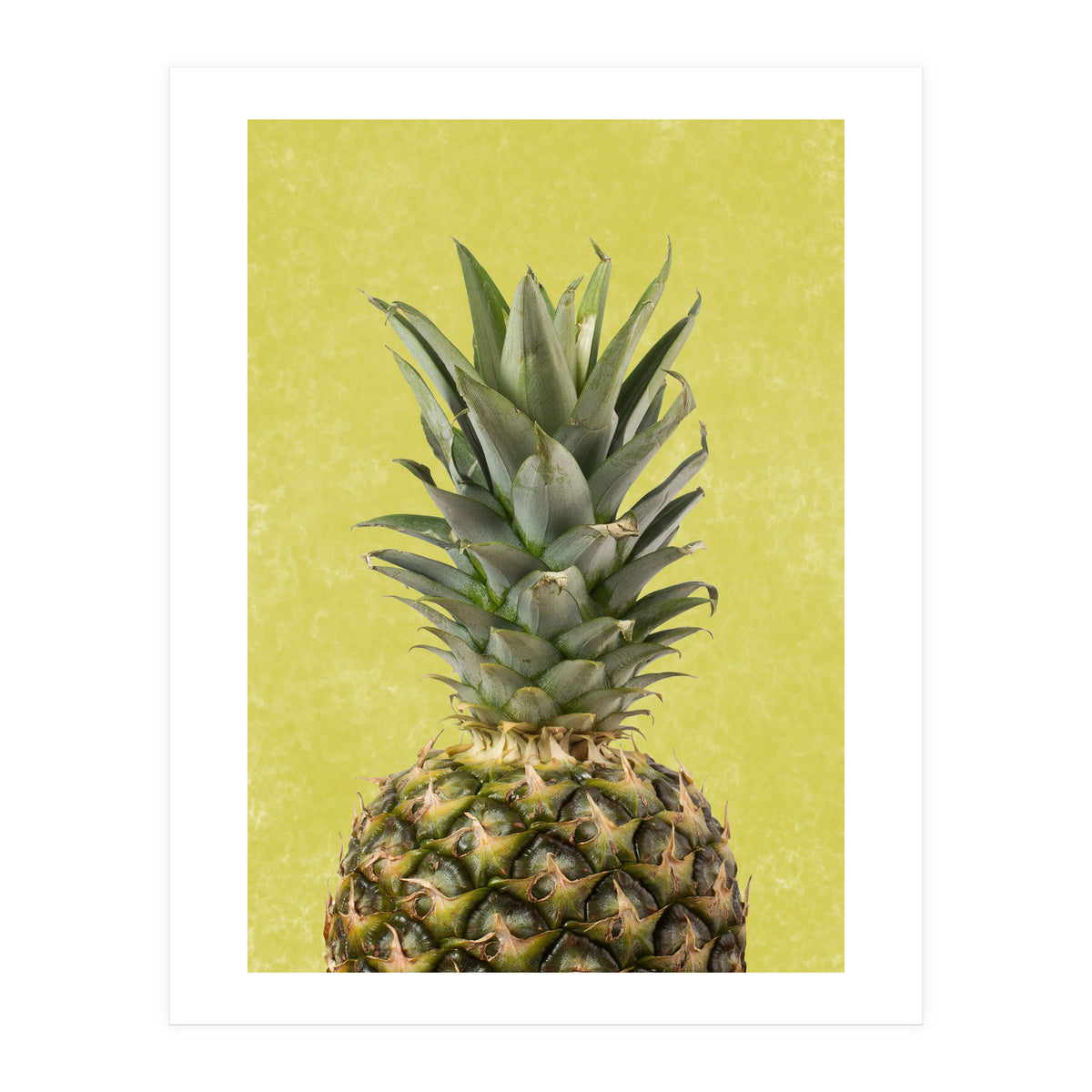 Pineapple Crown, Tropical Summer Fruit Art (Print Only)