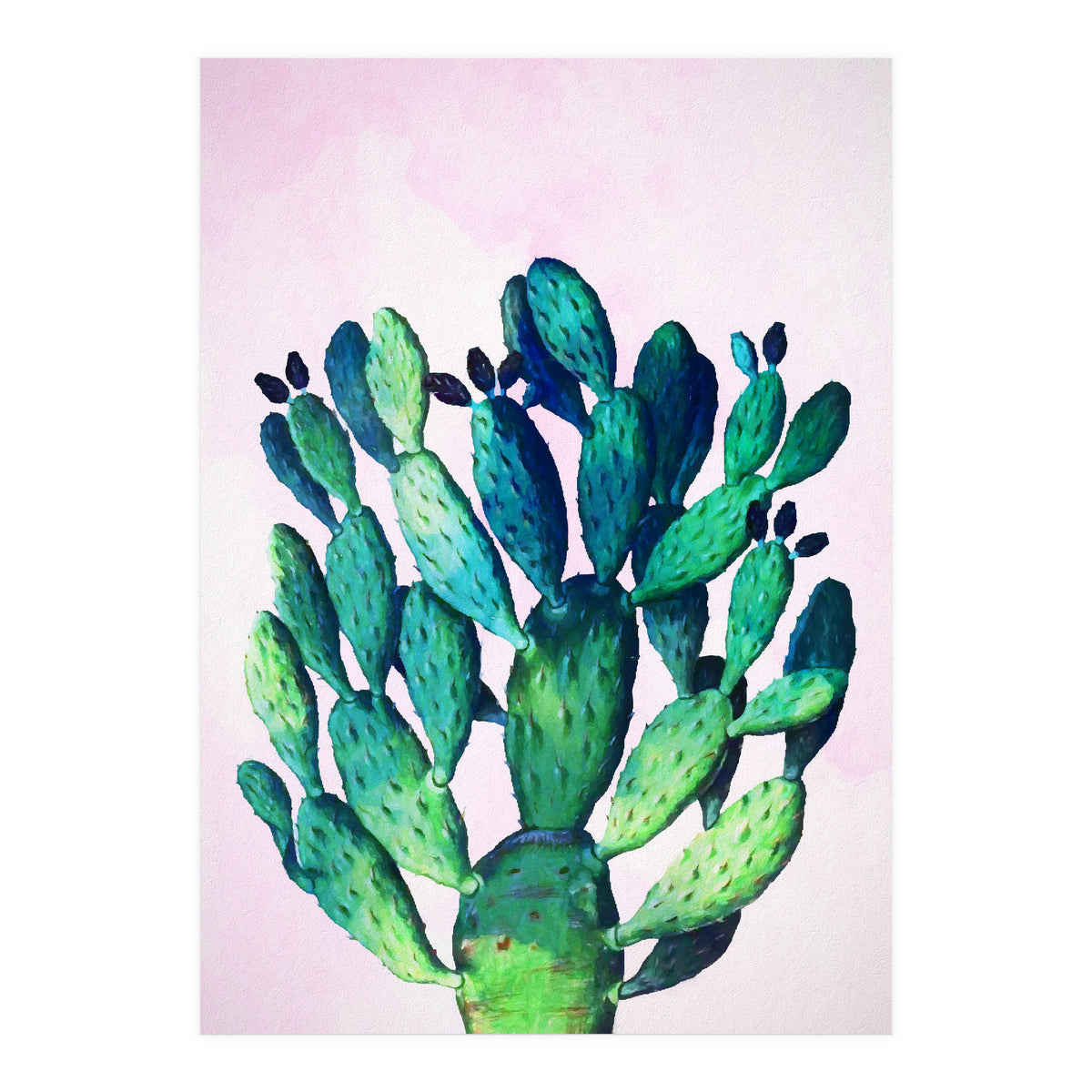 Cactus Three Ways (Print Only)