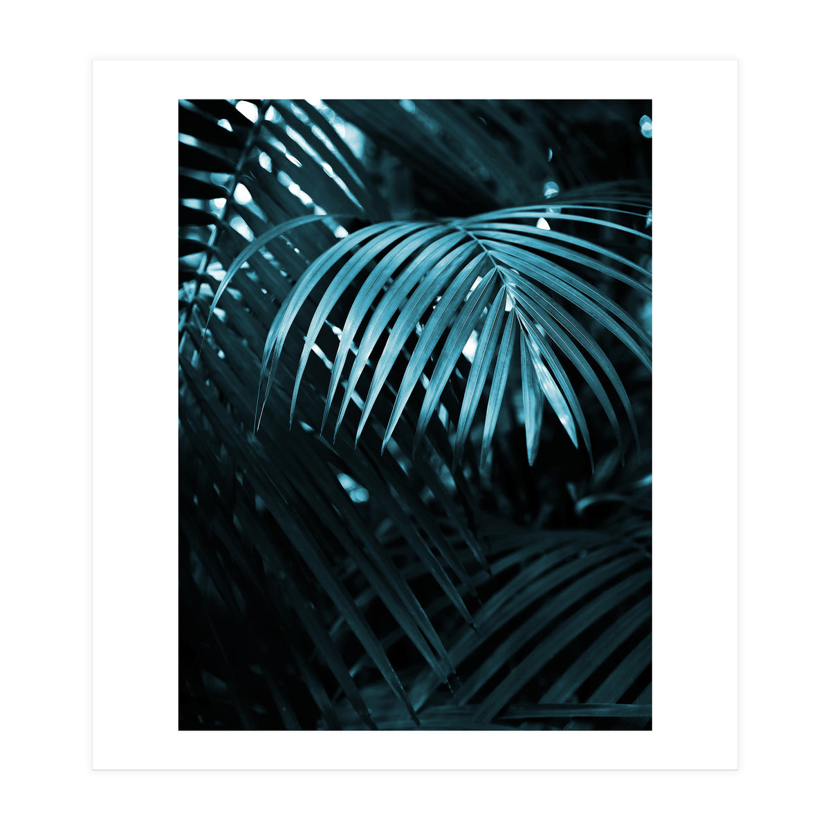 Blue Jungle Palm Ii (Print Only)