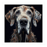 Old Dog 04 (Print Only) thumbnail