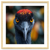 Close Up Of A Strikingly Beautiful Bird Face