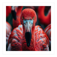 Close Up Flamingo Head With Bright Red Feathers (Print Only)